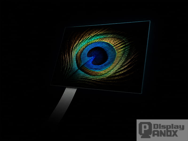OLED display panel showing an iridescent peacock feather floating in pure black void, demonstrating OLED's true black levels and infinite contrast