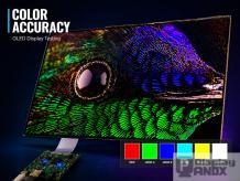 What Are the Key Differences Between Color Gamuts: sRGB, NTSC, Adobe RGB, and DCI-P3?
