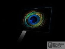 Does OLED Have Deeper Black Than Other Displays?