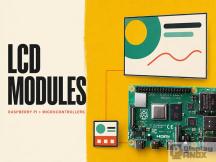 Which LCD Display Module Is Best for a Raspberry Pi or Microcontroller Project?