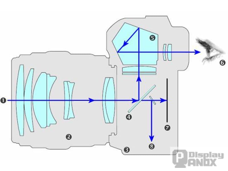 Diagram showing the optical light path through a DSLR lens, reflex mirror, pentaprism, and viewfinder.