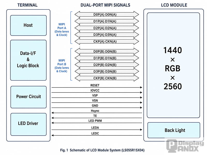 LS055R1SX04 LCD module structure with dual MIPI interfaces and display signal connections