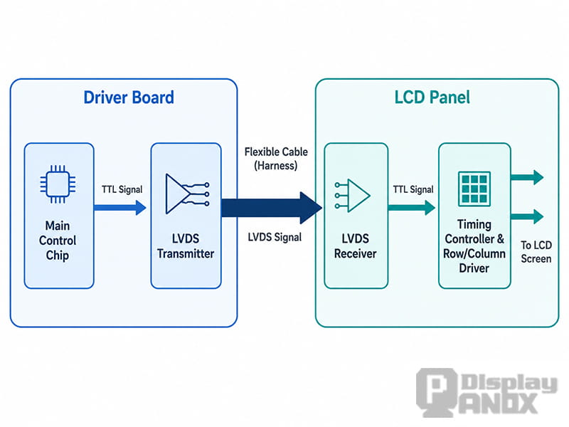 LVDS signal flow diagram showing TTL signal conversion from driver board to LVDS transmitter, flexible cable, LVDS receiver, and LCD panel timing controller.